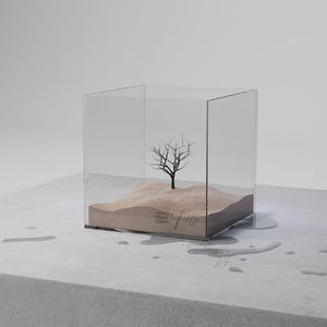 第四色播新网站
