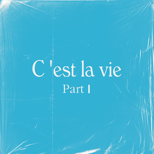 第四色播新网站
