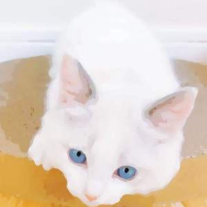 第四色播新网站
