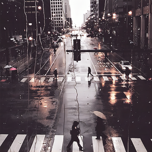 第四色播新网站
