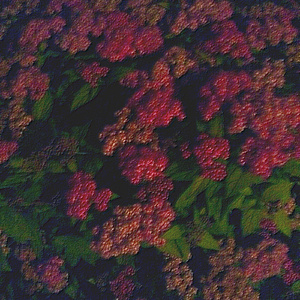 blacked性猛交arhud
