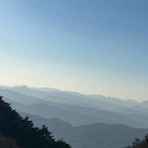 第四色播新网站
