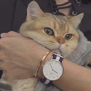 第四色播新网站
