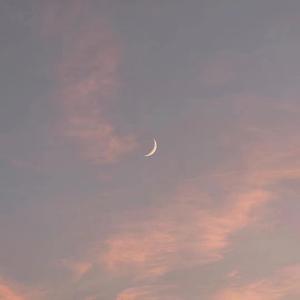 第四色播新网站
